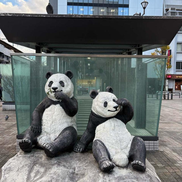 かわいいのが駅に居た