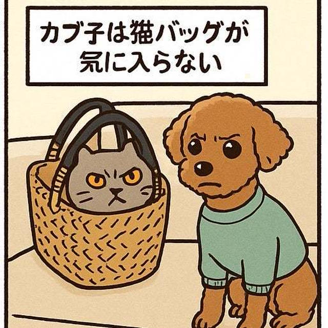 カブ子　VS　猫