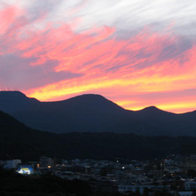 今年２回目の血液検査で分かること