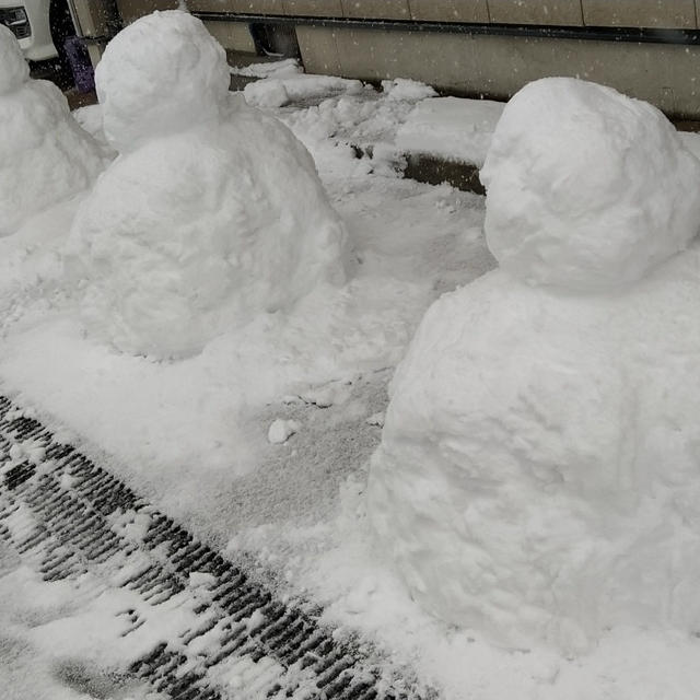 大雪ですな…