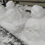 大雪ですな…