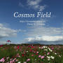 Cosmos Field