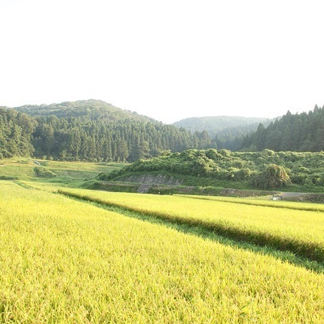 能登半島にキャンプにやって来た～！！③