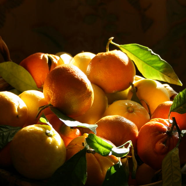 南仏のほろ苦いオレンジのリキュールの作り方