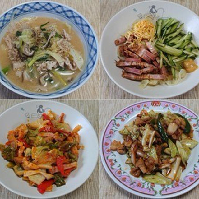 1日1食の糖質制限擬き：野菜食日記[1438]-[1441]