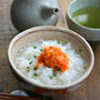 Dashi Chazuke with Sea Urchinうにくらげだし茶漬け