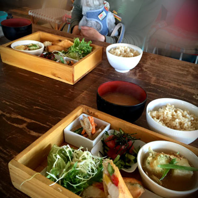 ドッグカフェ　デビュー　笑