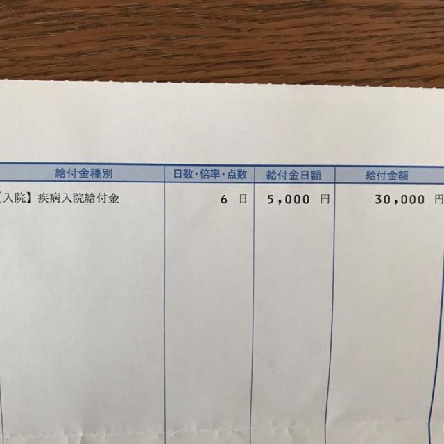 給付金が出ました～・丸弁、夫のお弁当