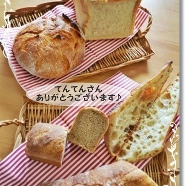 気泡たっぷりのバゲとカンパ♪