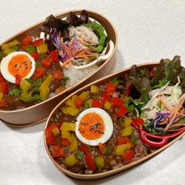 キーマカレー弁当、保健所のイメージ