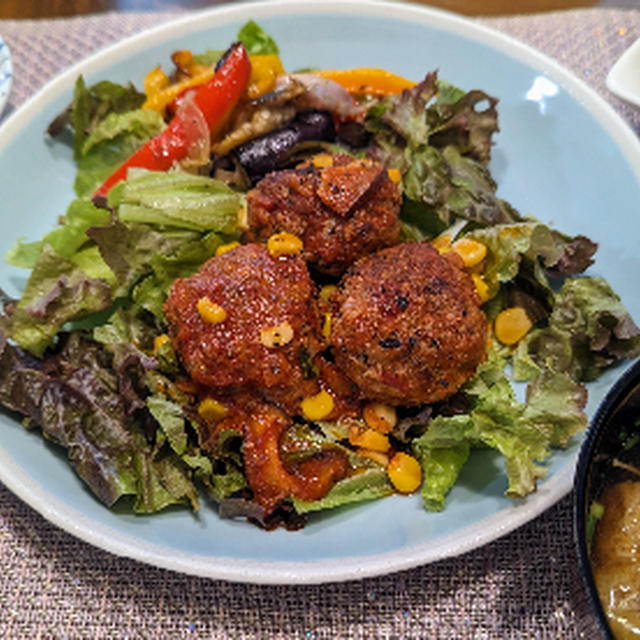 煮込みハンバーグ トマトソース