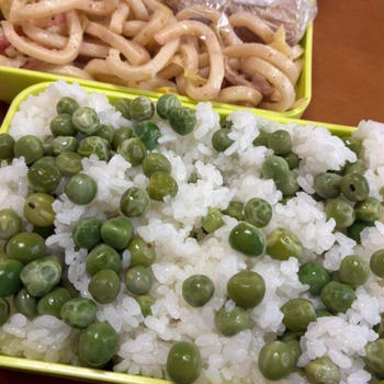 えんどう豆リーグ2024-2025❗️実えんどう豆のきしゅううすいを初収穫‼️