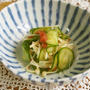 夏にとまらなくなる！副菜ご紹介♪【113円副菜☆】