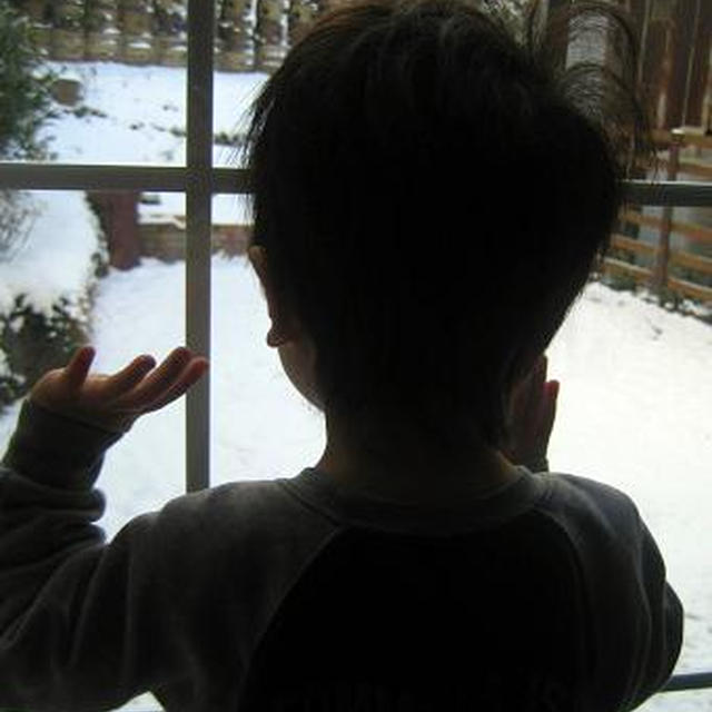 雪☆ひいたろう初雪♪