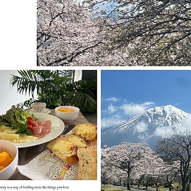 桜満開!!富士山とのコラボはとても綺麗です♪♪ランチは手作りパンで・・・