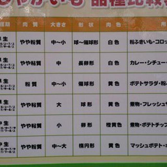 ジャガイモの育て方☆芽かき時期と方法