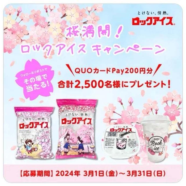【当選】ロックアイス『QUOカードpay 200円分』