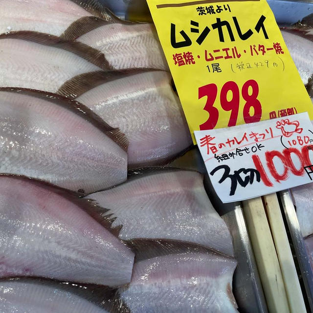 なんだか蒸してますね～、の