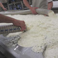 ピサ、伝統と革新のチーズ工場
