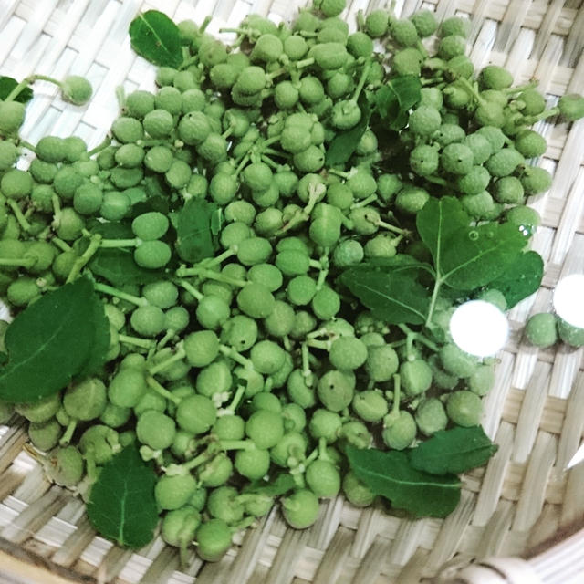 山椒の実