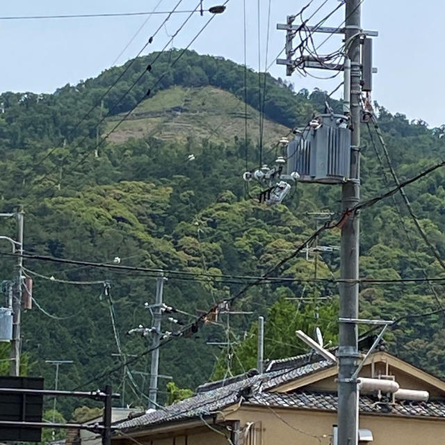 ポスト・コロナの生活。