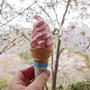 吉野山のカフェとポスト#お花見の風景