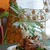 11月のお教室「Christmas Party at home」