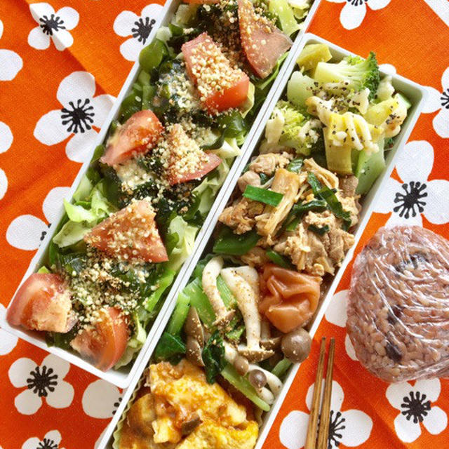 最近のPOCO弁当　煮込みハンバーグ　シチューグラタン