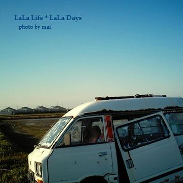 ライブ♪