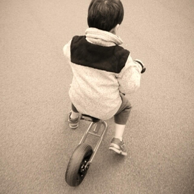 ４歳児からの聞き取り調査