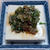 薬味おろしを載せた冷奴