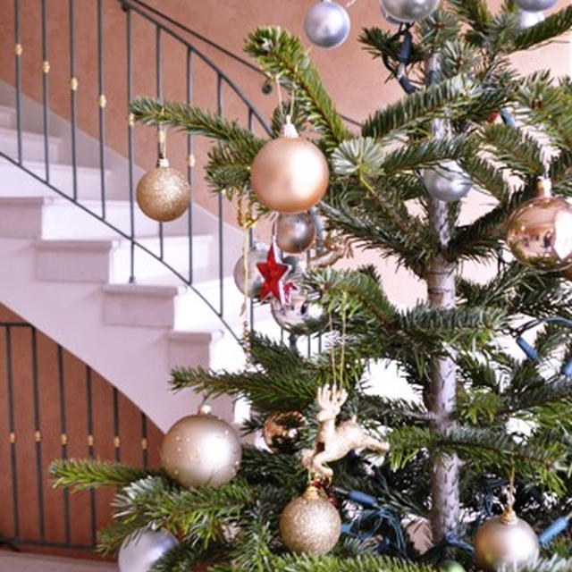 南仏でハッピークリスマス☆