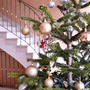南仏でハッピークリスマス☆