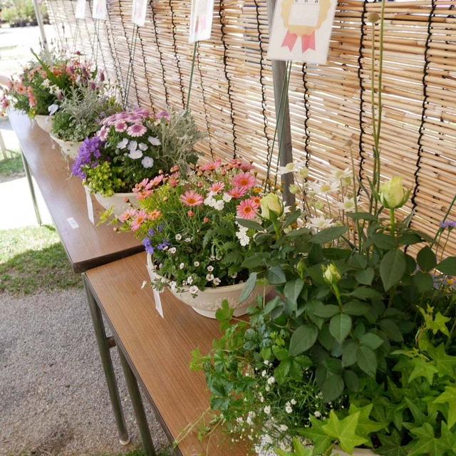寄せ植えコンテスト表彰式♪