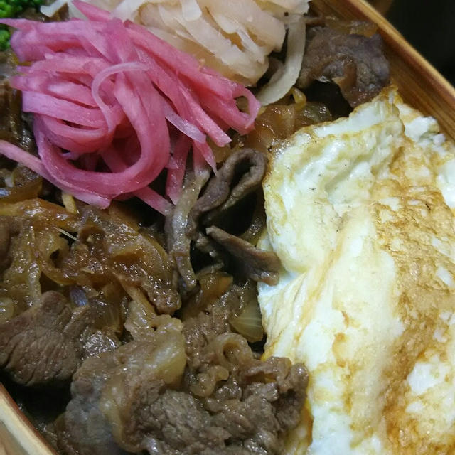 牛丼弁当