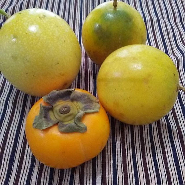 秋ですね～＆ダイソー効果(=^・^=)♪