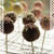 Cake Pops