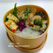 2023/11/27　鶏肉とブロッコリーのオーロラ和え弁当