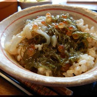 北海ネバネバ丼～朝どん⑲