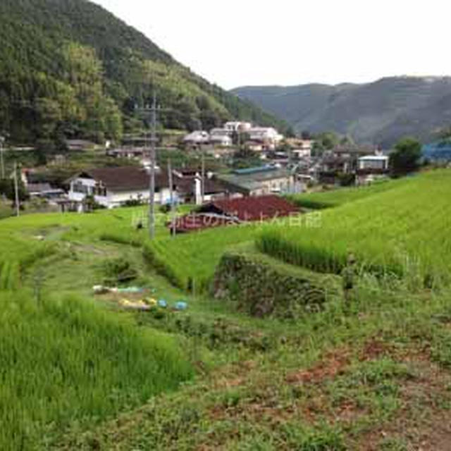 【熊本県水俣市】湯の鶴温泉 かいわい散歩
