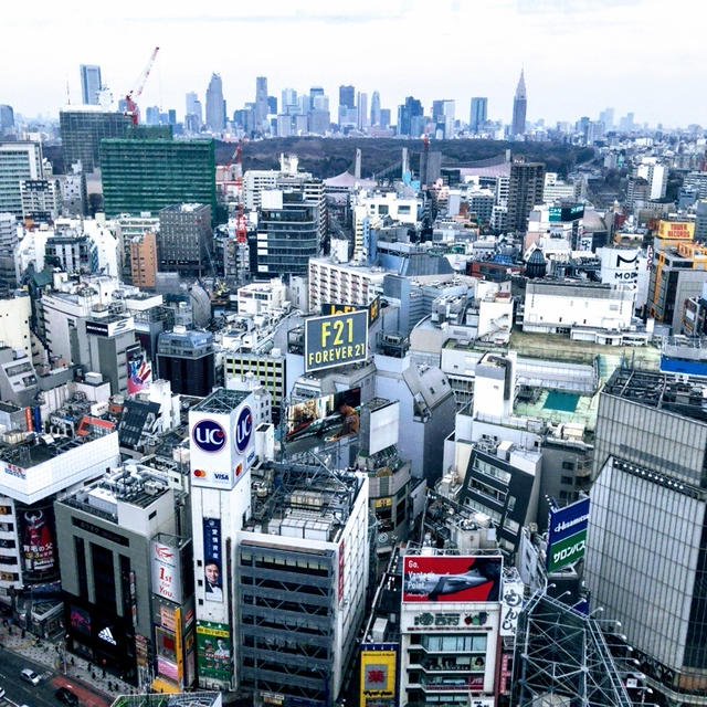 渋谷エクセルホテル東急の和食店　旬彩　彩懐石　