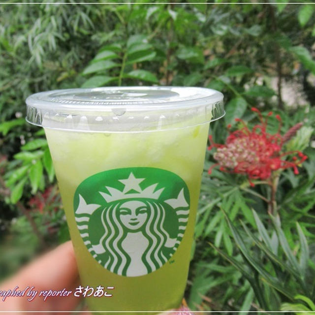 スタバ☆ティバーナ フローズン ティー 香る煎茶 × グリーン アップル