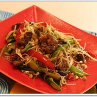 スパイス大使☆牛すじ肉ともやしの＊オイスターペパー野菜炒め☆