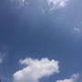 夏きたぁーー！！