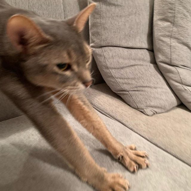 ぼく、お風呂に行ってきます