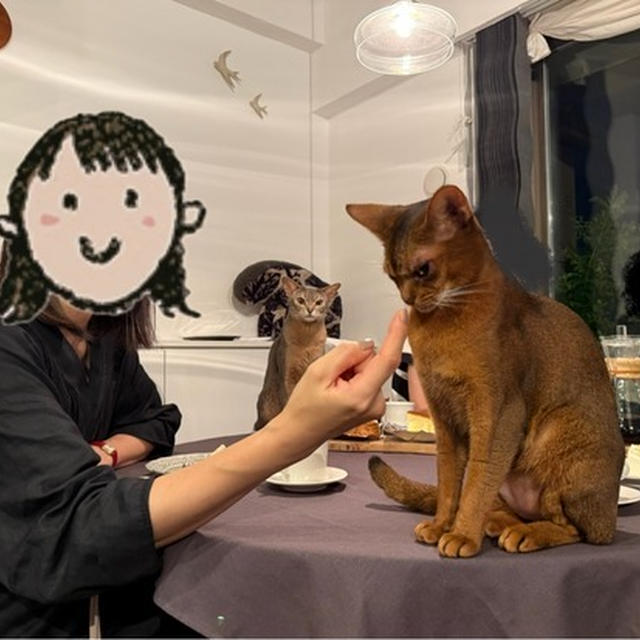 お友だちが来てる　りすが平気な顔してる！
