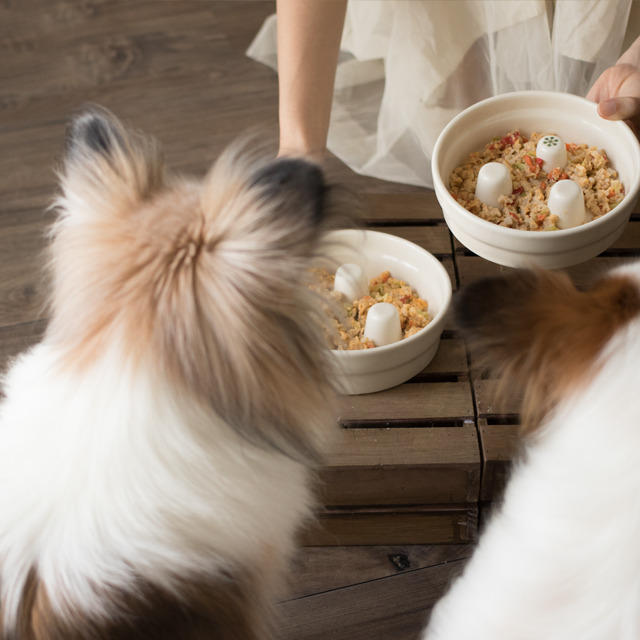 ■忙しい朝や疲れた夜に嬉しい、作りおき犬ごはんレシピ