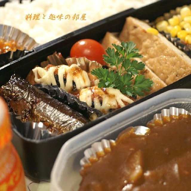 ブログtoメディア〈おさんぽ〉に記事が掲載されました。主人の昼弁当／厚木才戸橋の桜《P-2》など。