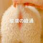 ゆきちの皮膚ケア、AIで記録中です