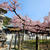久しぶりの宮地嶽神社